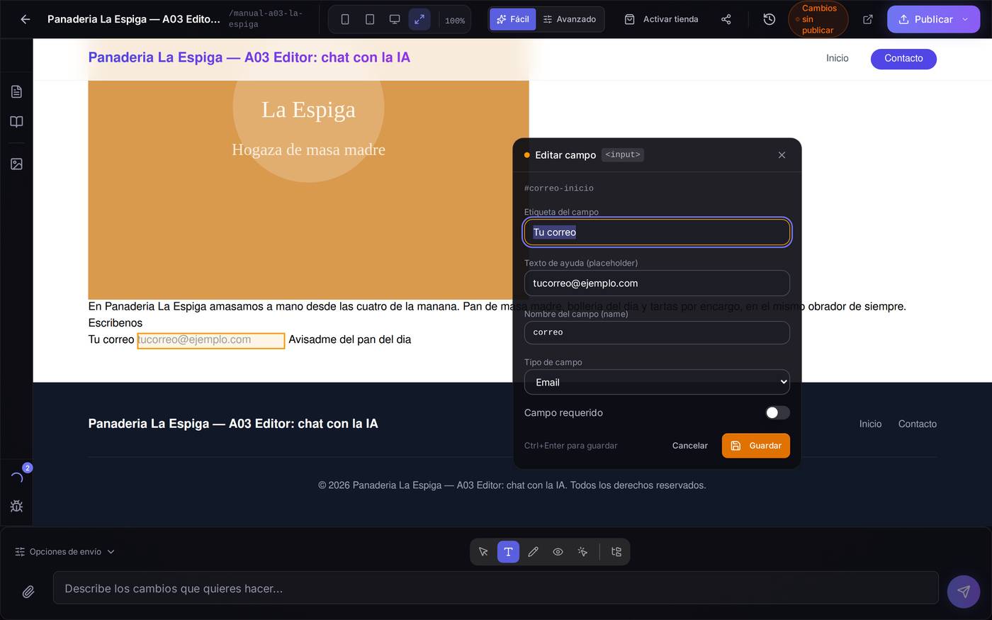 Panel de campo sobre el «Tu correo» del formulario de la página.