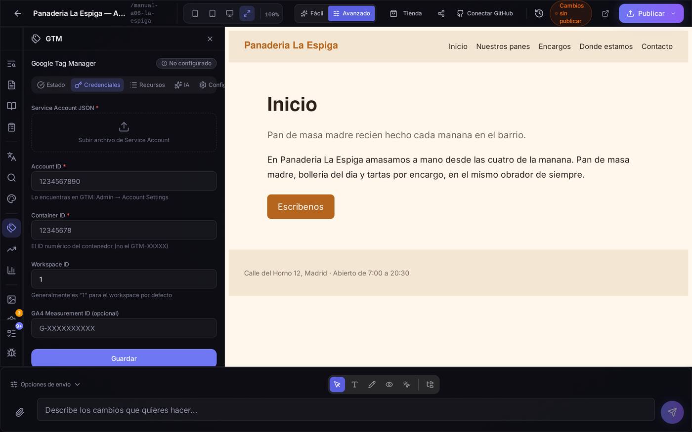 La pestaña Credenciales: aquí pegas los datos que copias de tu propia cuenta de Google Tag Manager (archivo de cuenta de servicio, ID de cuenta, ID de contenedor y, si lo usas, tu ID de medición de GA4).
