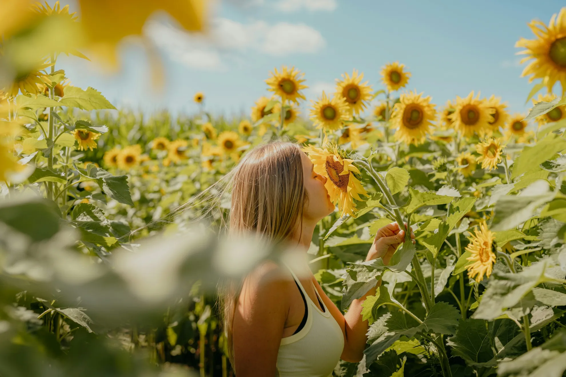 5 Experiencias Sensoriales que Despiertan tus Sentidos y Creatividad