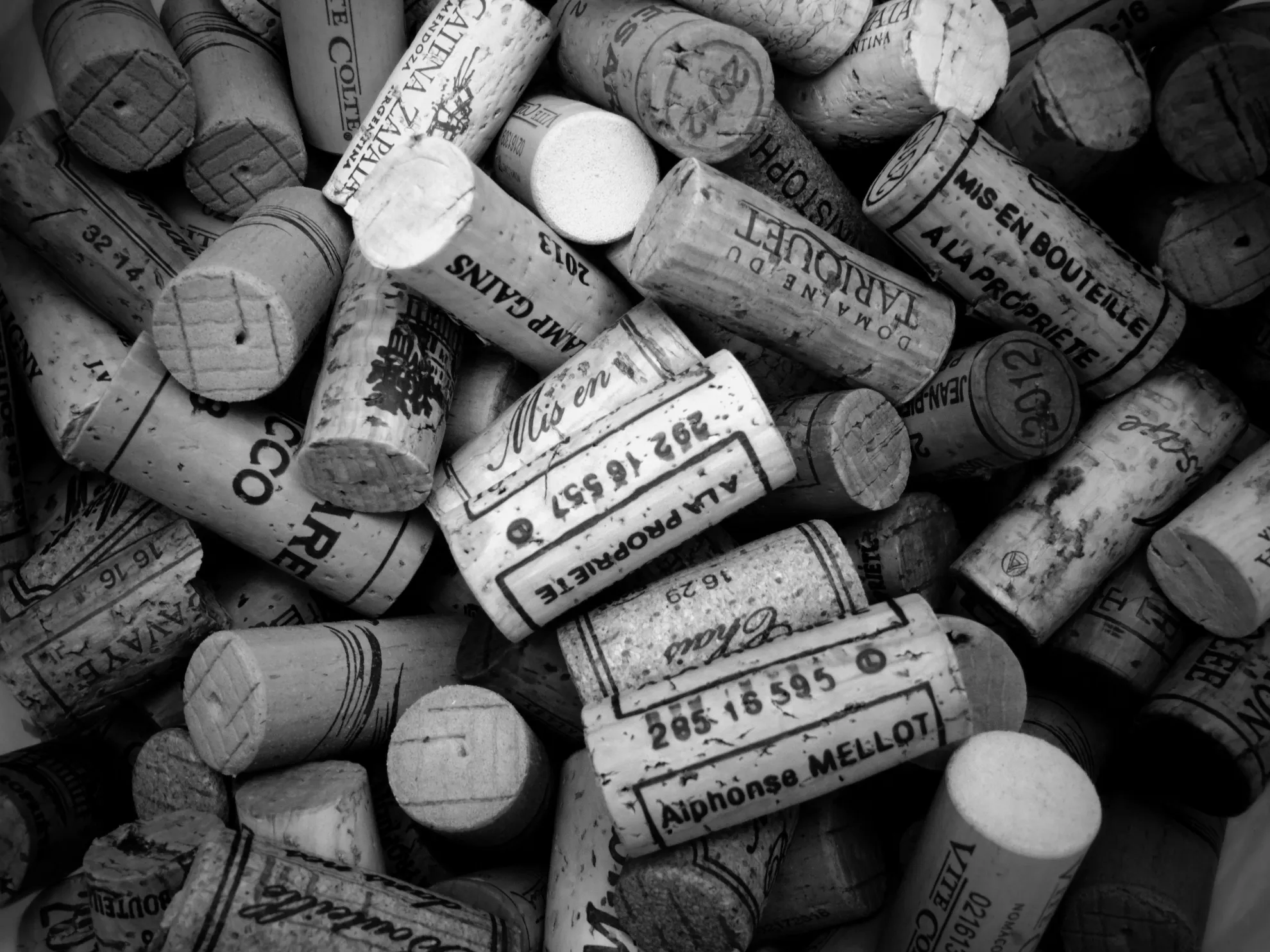 arte y vino experiencias