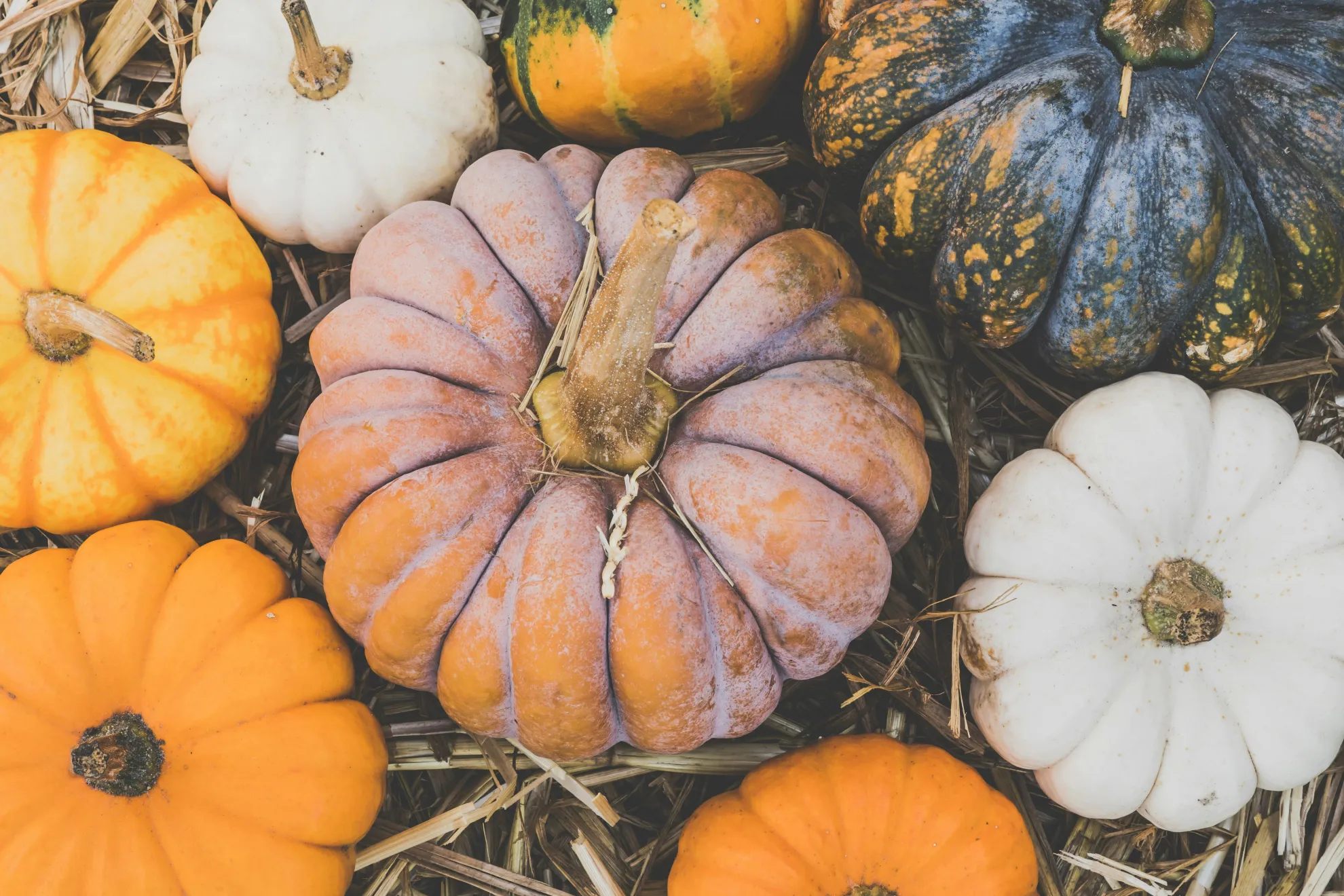 8 aromas de otoño irresistibles para crear ambientes mágicos