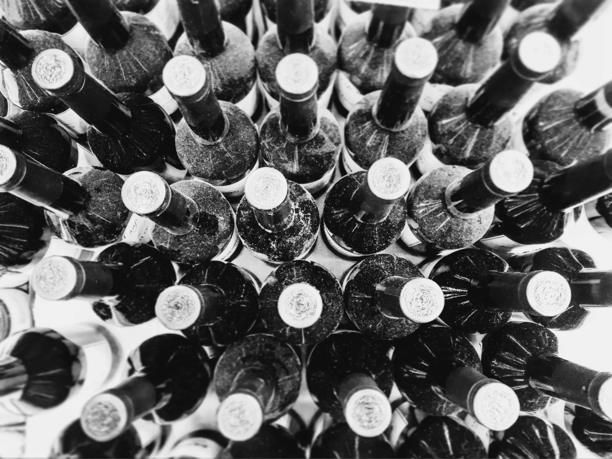 Arte y Vino